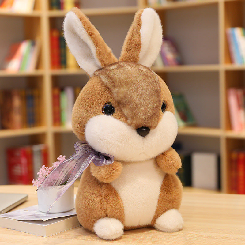 Plush toys for little white rabbits - Trotters Independent Traders