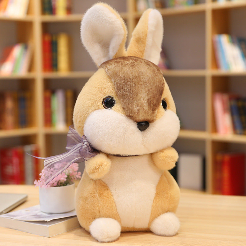 Plush toys for little white rabbits - Trotters Independent Traders